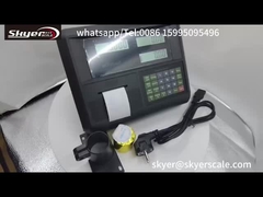 مؤشر الوزن الرقمي