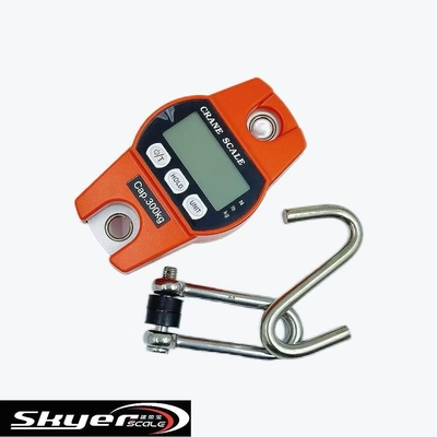 جودة  300kg Digital Crane Scale with LED LCD Display مصنع