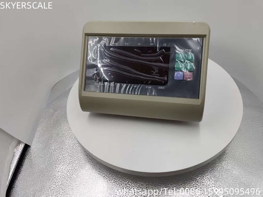 RS232 إظهار مؤشر الوزن للمقاييس المقاييس LED XK3190 T7+E